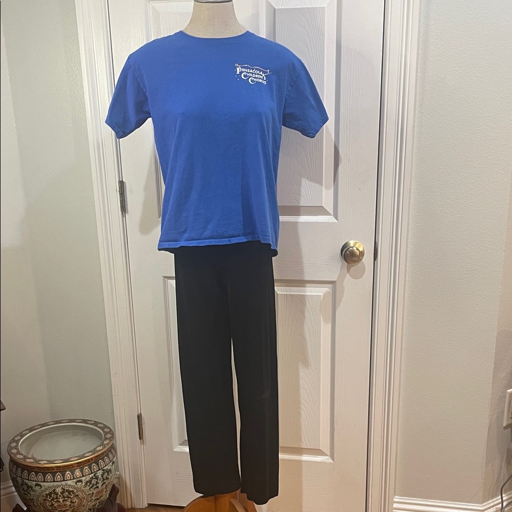 Black jazz pull on Pants & royal blue 100% cotton short sleeve T-shirt size L